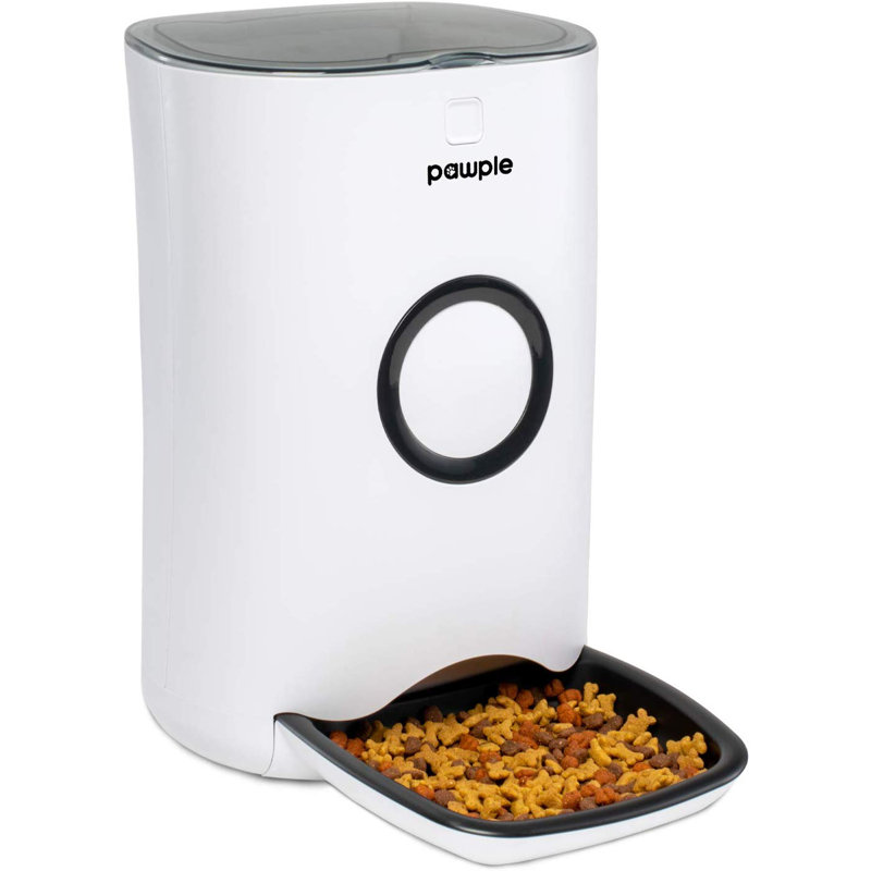 Pawple Pets Pet Automatic Feeder & Reviews | Wayfair